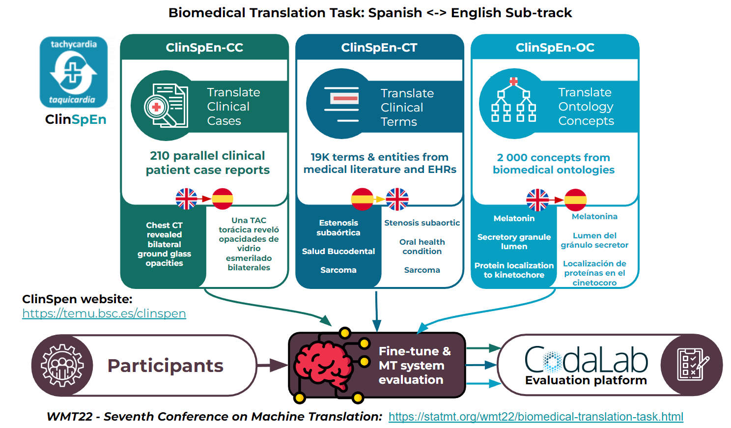 ClinSpEn Task overview