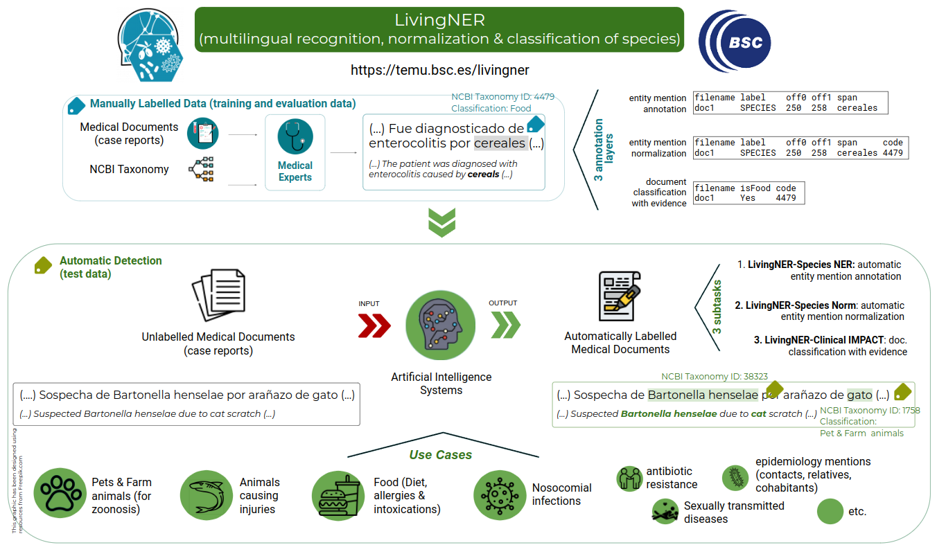 LivingNER Task overview